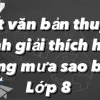 Tìm hiểu hiện tượng mưa sao băng và cách quan sát trọn vẹn nhất năm 2026