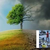 Ảnh hưởng của biến đổi khí hậu đến môi trường sống năm 2026