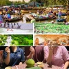 Hành trình tìm kiếm trải nghiệm ẩm thực miền Tây sông nước