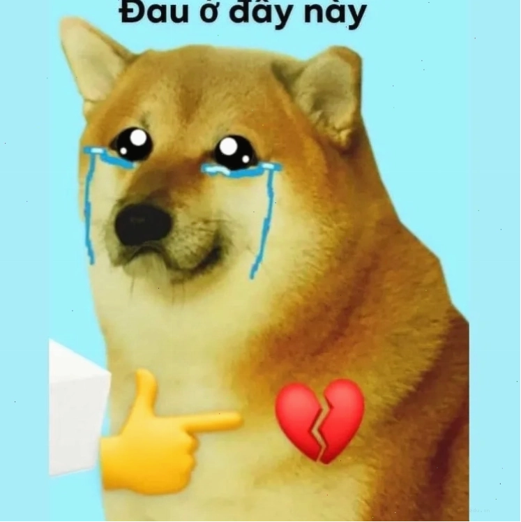 Ảnh chế đau ở đây này hài hước