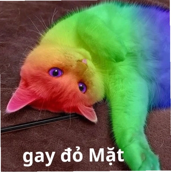 Ảnh gay meme bảy màu