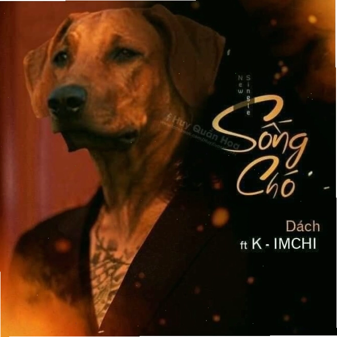 Ảnh meme chó cầm dao với vẻ mặt