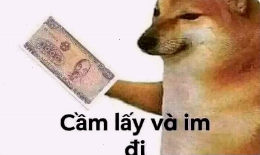 Ảnh meme hài hước, vui nhộn của động vật