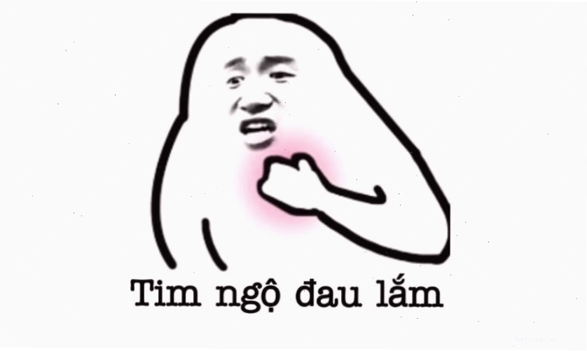 Ảnh meme vô tri hài hước của chó