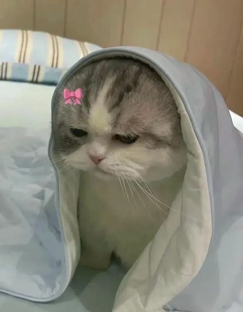 Avatar meme chill thể hiện sự thư thái