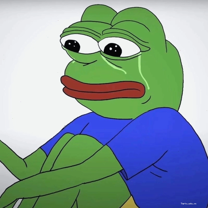Avatar meme chó hài hước và đáng yêu