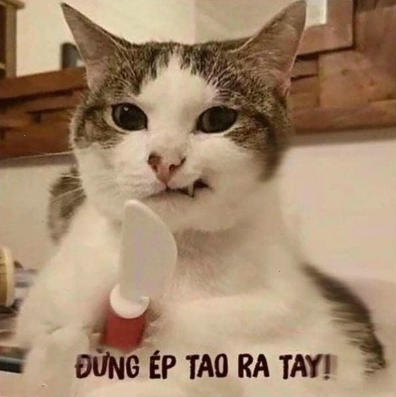 Avatar meme gấu trúc đáng yêu và hài hước