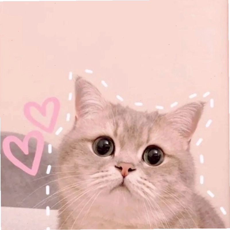 Avatar meme trending cập nhật những xu hướng mới nhất