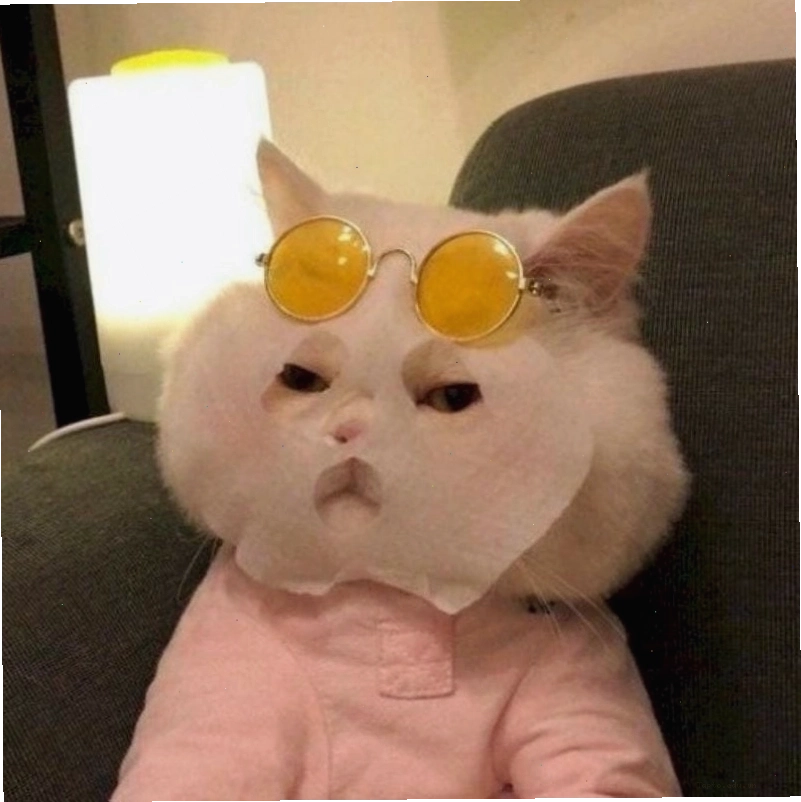 Avatar meme với nhiều biểu cảm khác nhau