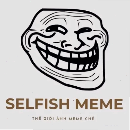 Biểu cảm đáng yêu của chú mèo trong meme xoa đầu