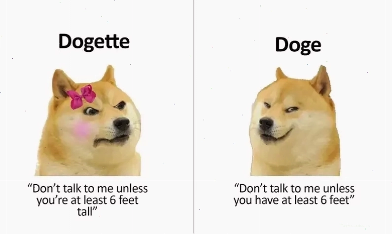 Biểu cảm ngộ nghĩnh của Cheems Doge Meme