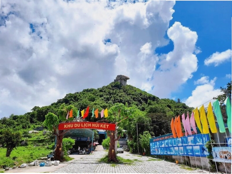 Bò 7 núi An Giang đang được chăn thả
