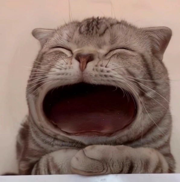 Bộ sưu tập ảnh meme há miệng khiến dân mạng rụng rời