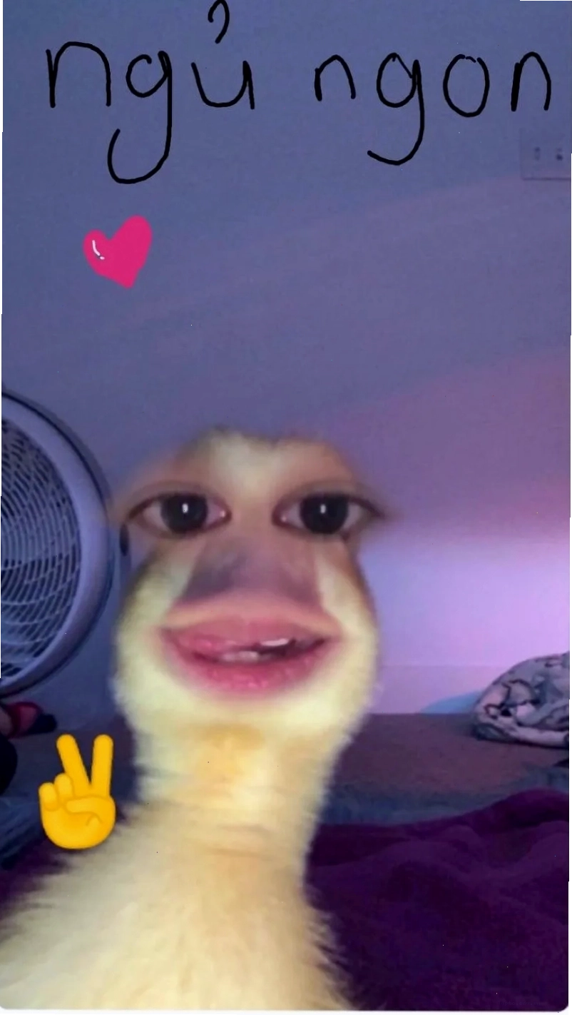 Các dạng meme đéo tin khác nhau