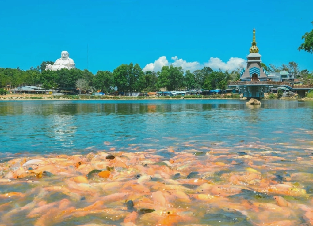 Cảnh quan thiên nhiên nhìn từ đỉnh Núi Cấm