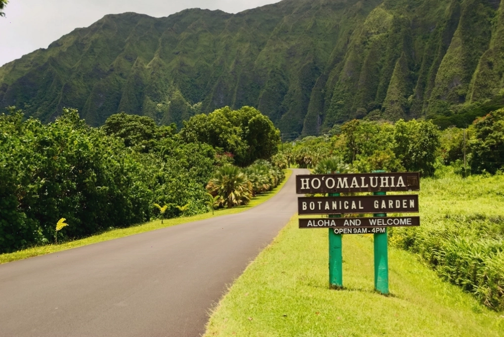 Cảnh quan thiên nhiên tuyệt đẹp trên đảo Maui, Hawaii