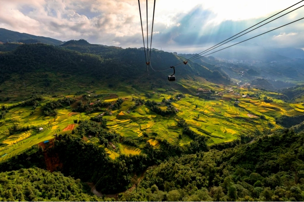 Cánh rừng nguyên sinh rậm rạp tại núi Fansipan