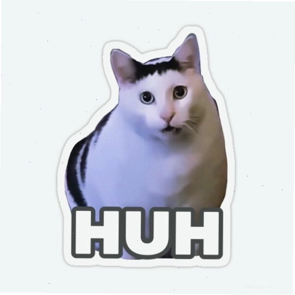 Chú mèo với biểu cảm ngạc nhiên, biểu tượng của Huh Cat meme