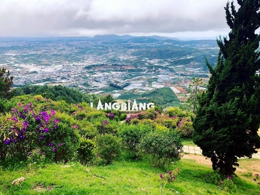 Con đường dẫn lên đỉnh Langbiang
