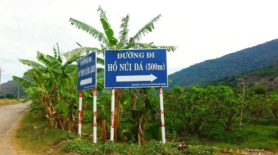 Cung đường trekking dẫn đến Hồ Núi Đá Tây Ninh xanh mướt