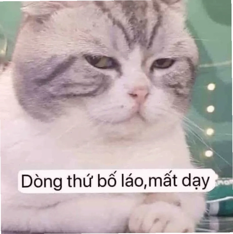 Cười đau bụng với loạt meme chửi nhau