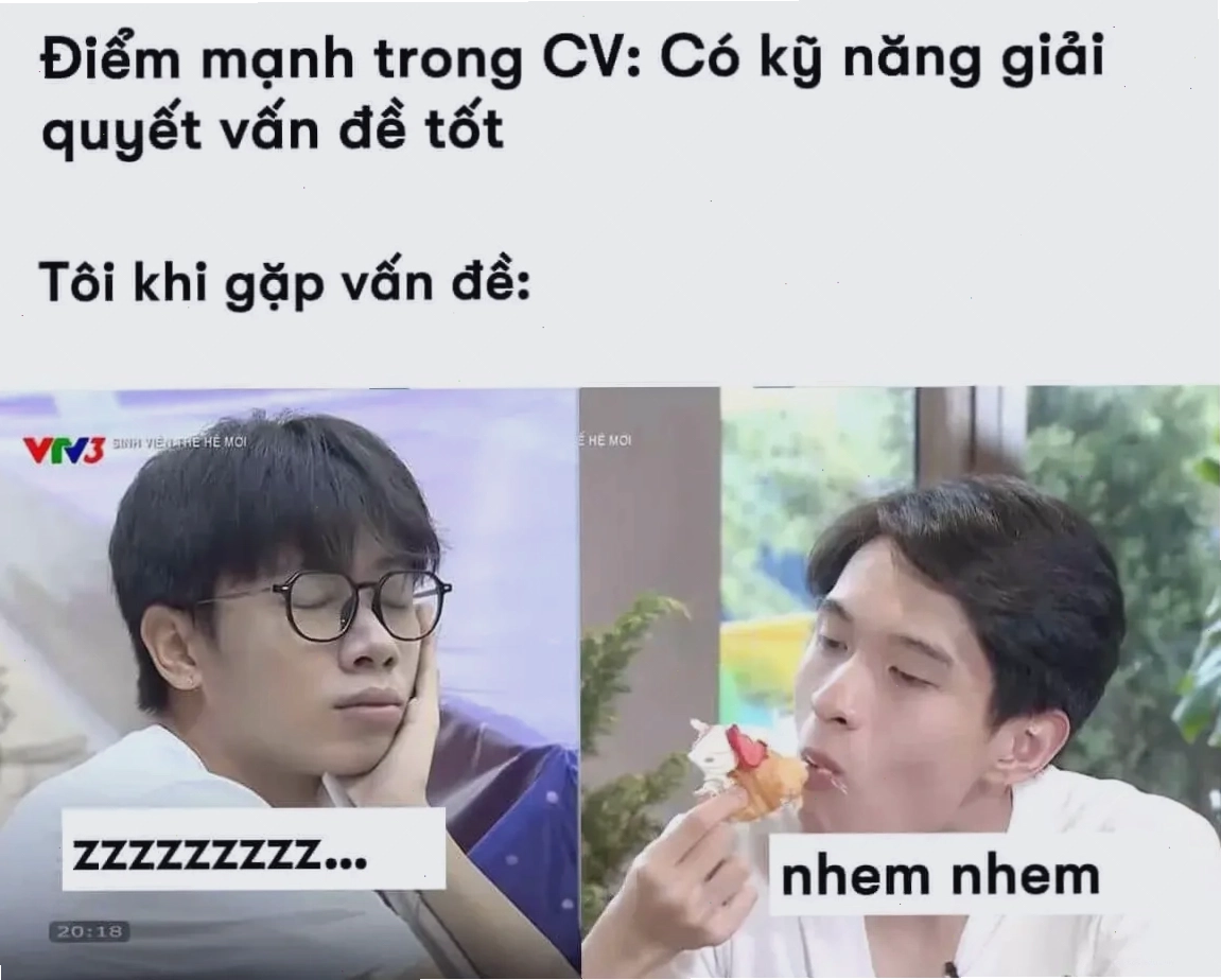 Điểm mạnh trong CV: Khả năng giải quyết vấn đề tốt - Một meme về vấn đề kỹ năng