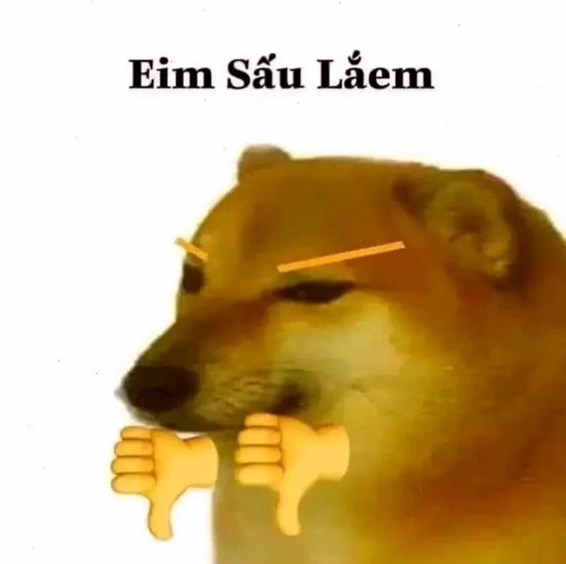 Doge meme chết đầy bất ngờ và hài hước