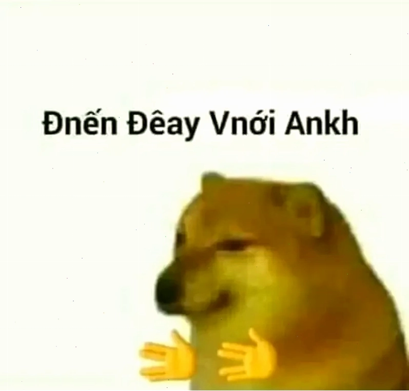 Dogecoin bonk meme mang lại những tình huống hài hước
