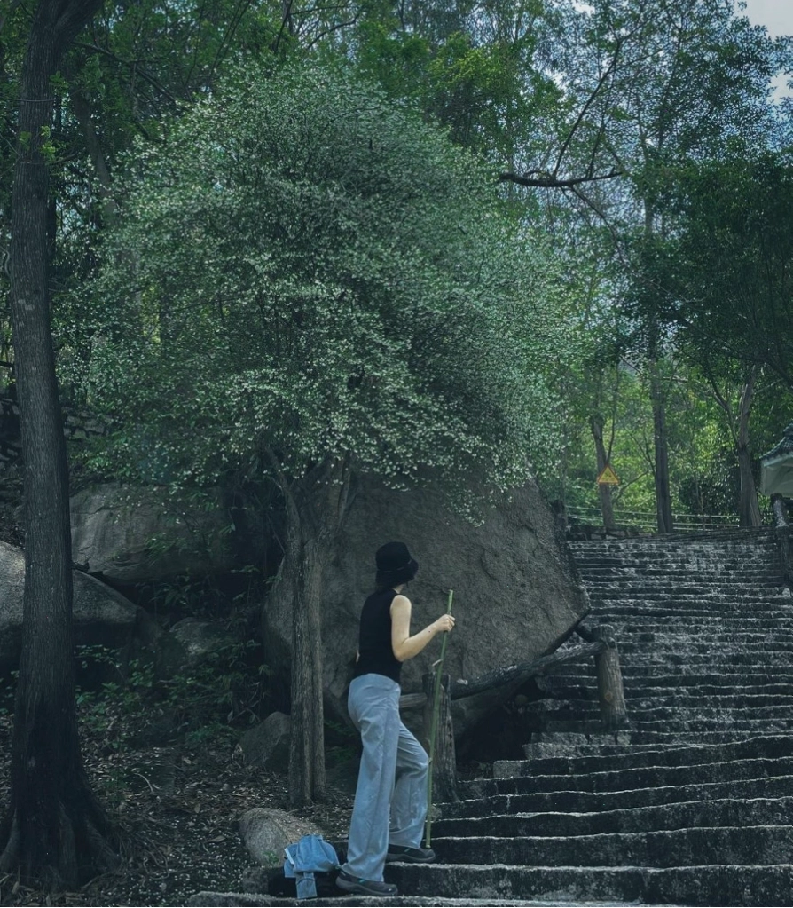 Du khách leo lên những bậc thang của núi Thị Vải