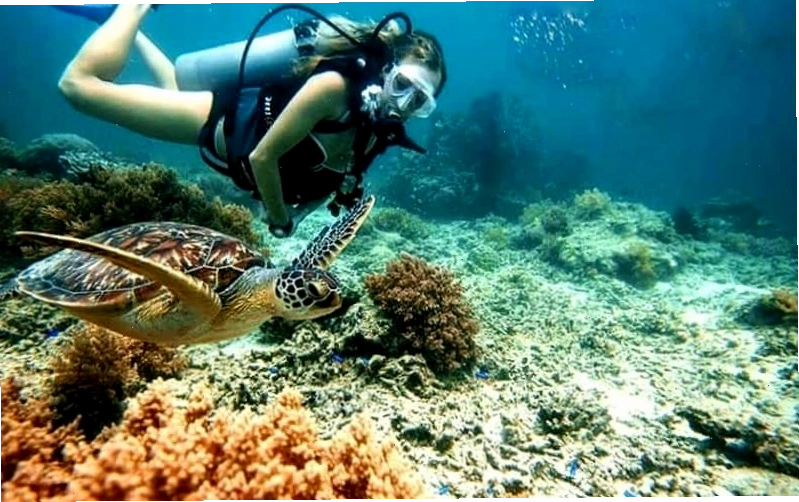 Du khách vui chơi trên bãi biển Côn Đảo