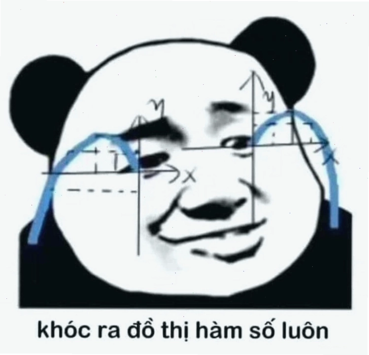 Gấu trúc meme khóc ra đồ thị hàm số