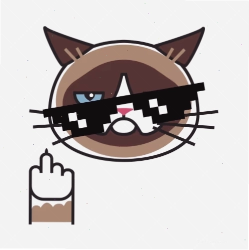 Grumpy Cat meme với biểu cảm giận dữ
