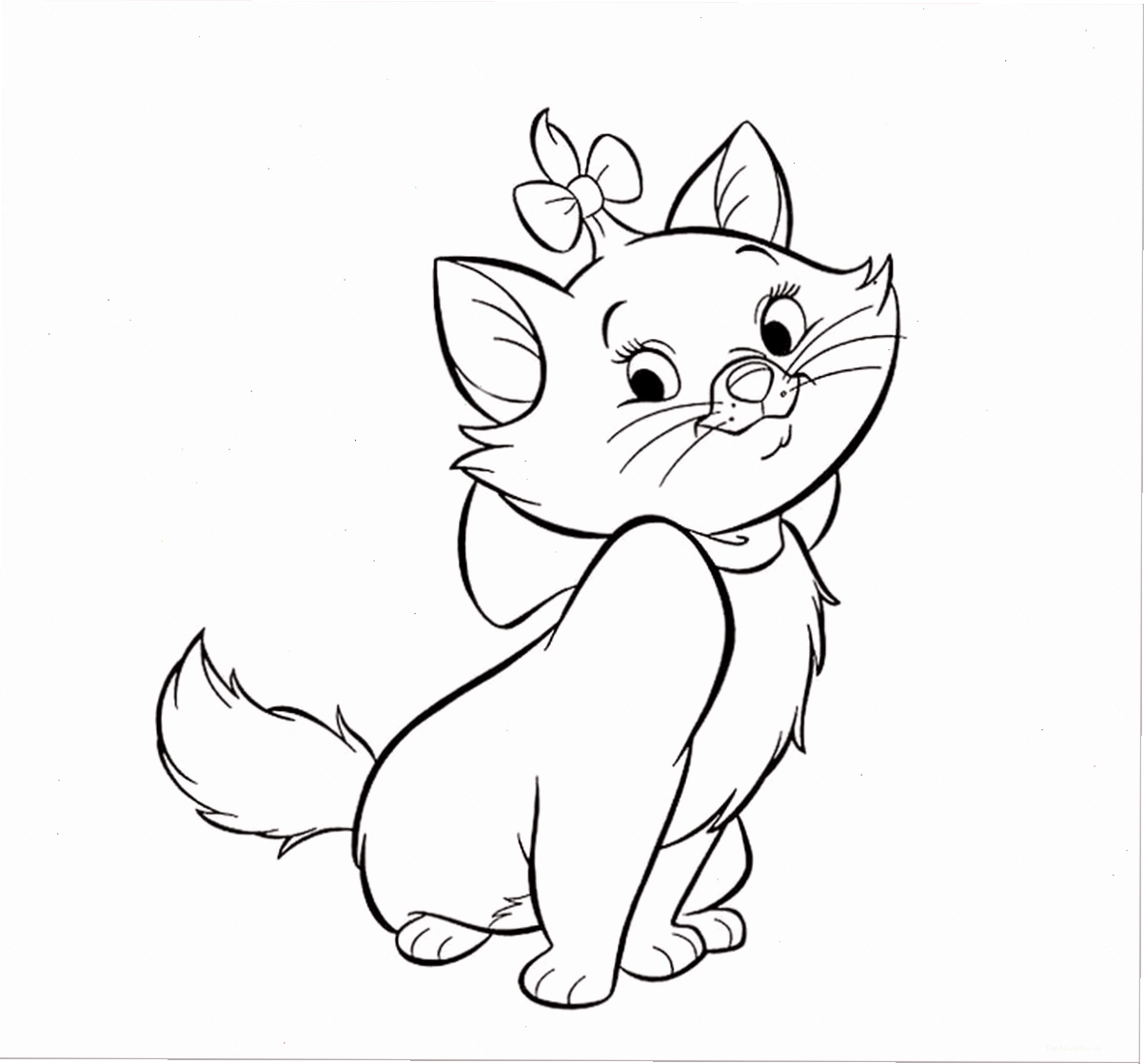 Hình ảnh con mèo cute đang vui đùa