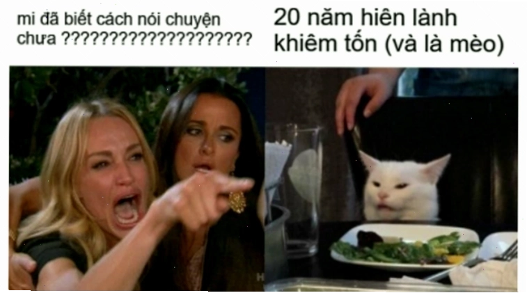 Hình ảnh minh họa định nghĩa meme và sự phổ biến trên mạng xã hội