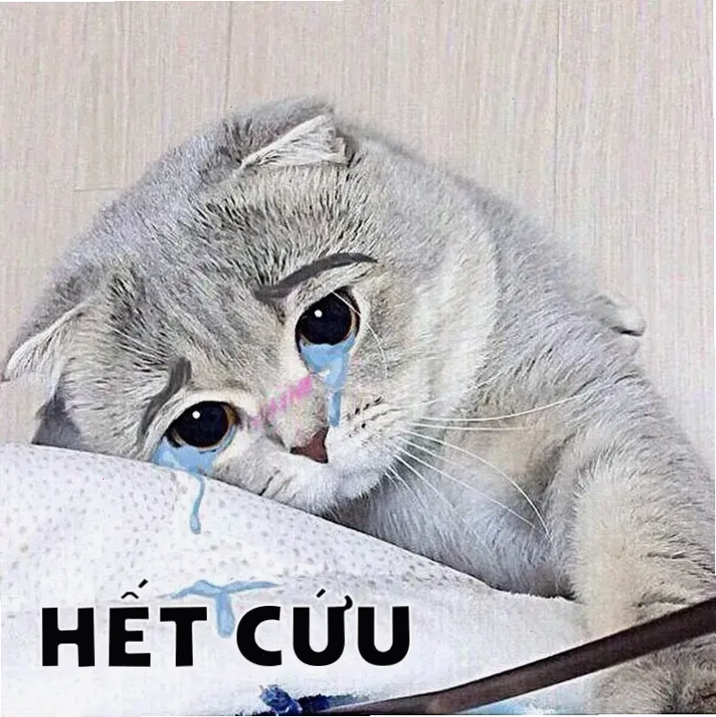 Hình meme hài chịu luôn cho thấy thái độ buông bỏ đầy châm biếm và bất lực