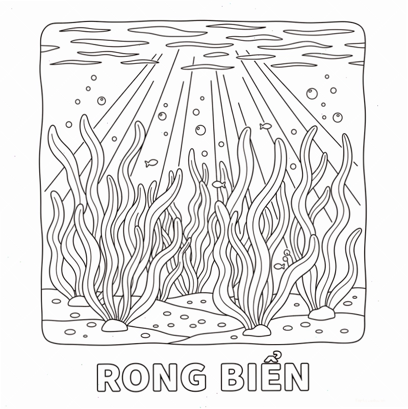 Hình tô màu rong biển đẹp