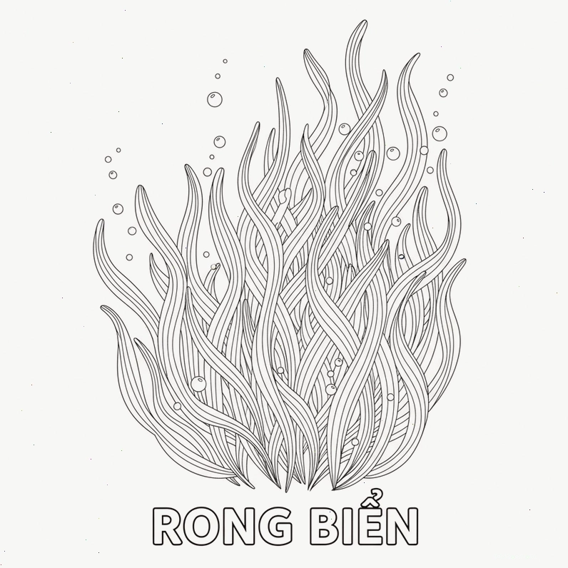 Hình tô màu rong biển tự nhiên
