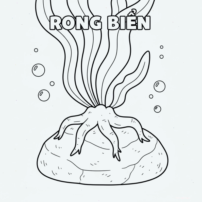 Hình vẽ rong biển cho bé tô màu