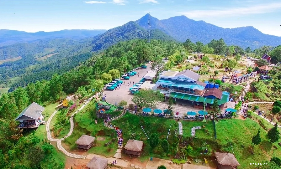 Hoạt động cưỡi ngựa trên núi Langbiang