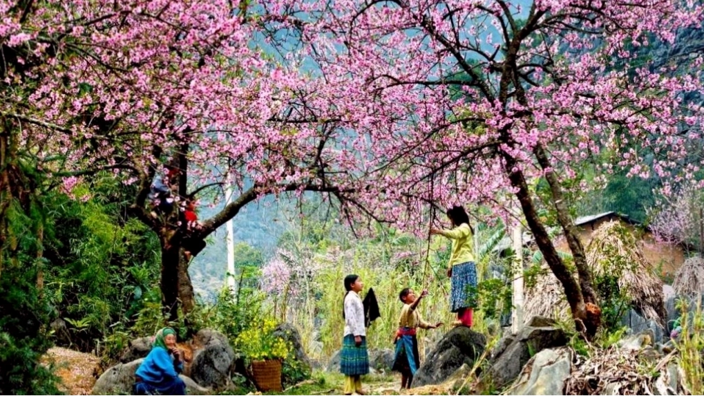 Hướng dẫn đường đi đến khu du lịch Núi Hàm Rồng
