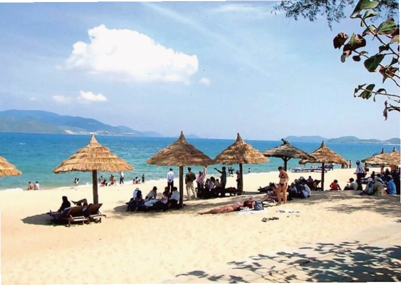 Khung cảnh rừng phi lao xanh mát cạnh bãi biển Non Nước