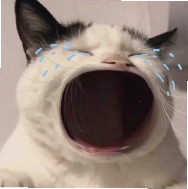 Loạt há miệng meme khiến cộng đồng cười không thở nổi