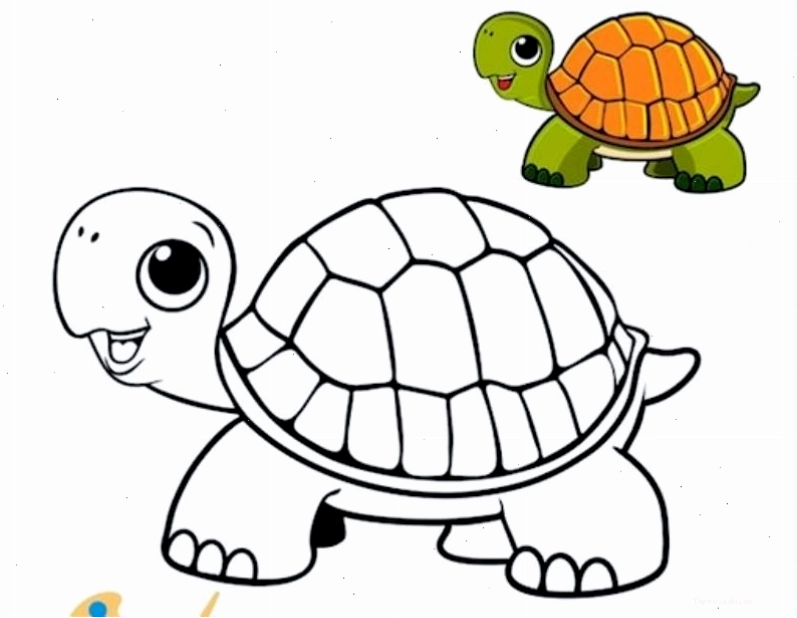 Lợi ích của việc cho bé tô màu tranh con rùa giúp phát triển kỹ năng