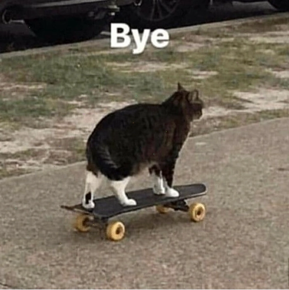 Meme bye bá đạo