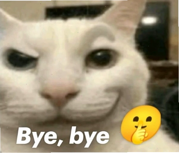 Meme bye cute với thú cưng