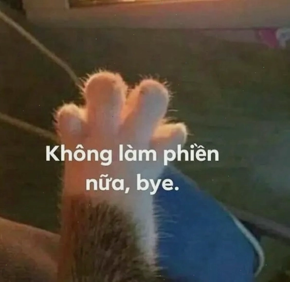 Meme bye phiên bản lầy lội