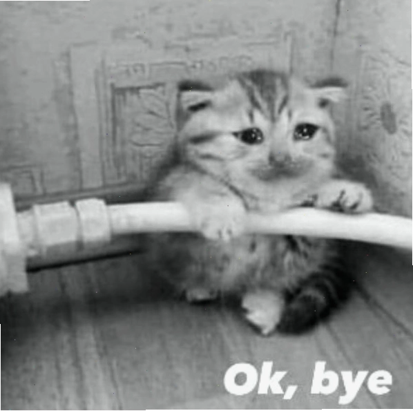 Meme bye với biểu cảm troll