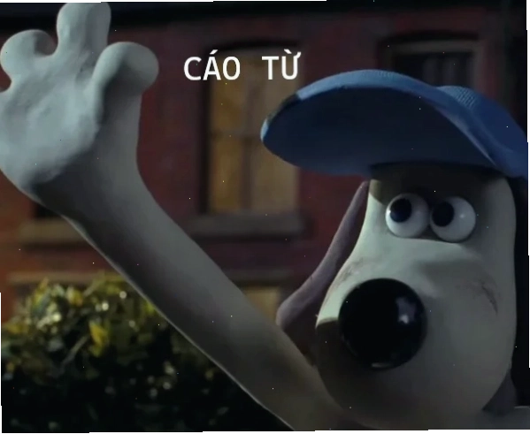 Meme cáo từ độc đáo và sáng tạo
