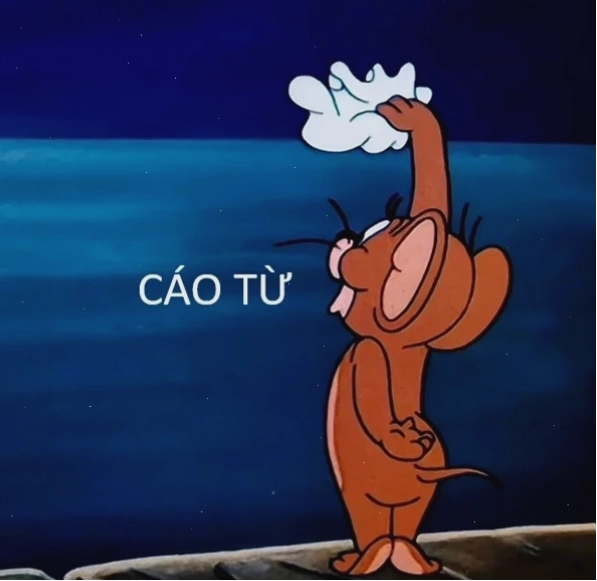 Meme cáo từ thể hiện sự mệt mỏi