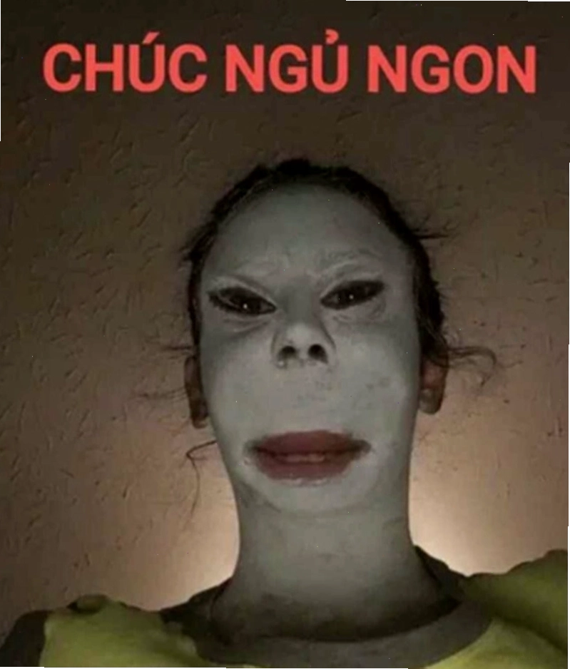 Meme chú chó với biểu cảm mệt mỏi kèm dòng chữ chúc ngủ ngon